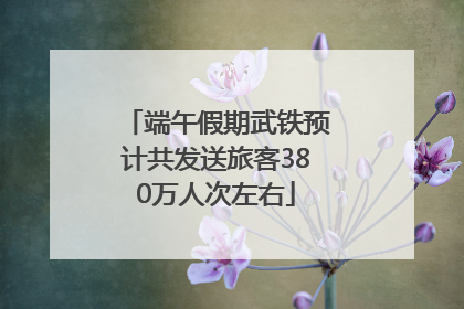 端午假期武铁预计共发送旅客380万人次左右