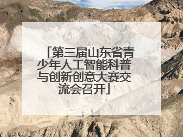 第三届山东省青少年人工智能科普与创新创意大赛交流会召开