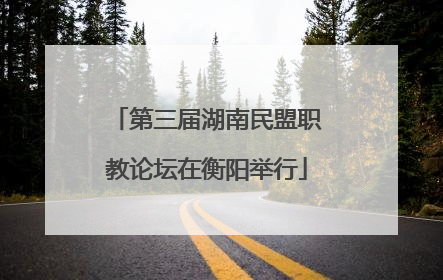 第三届湖南民盟职教论坛在衡阳举行