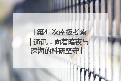 第41次南极考察｜通讯：向着暗夜与深海的科研坚守