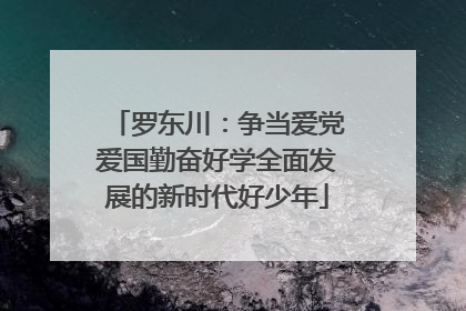 罗东川：争当爱党爱国勤奋好学全面发展的新时代好少年