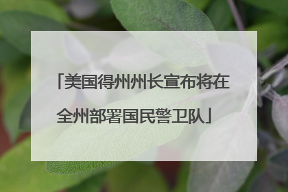 美国得州州长宣布将在全州部署国民警卫队