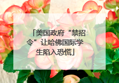 美国政府“禁招令”让哈佛国际学生陷入恐慌
