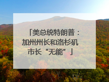 美总统特朗普：加州州长和洛杉矶市长“无能”