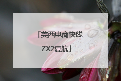 美西电商快线ZX2复航
