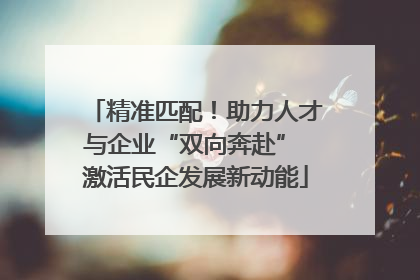 精准匹配！助力人才与企业“双向奔赴” 激活民企发展新动能