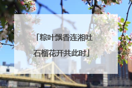 粽叶飘香连湘吐 石榴花开共此时