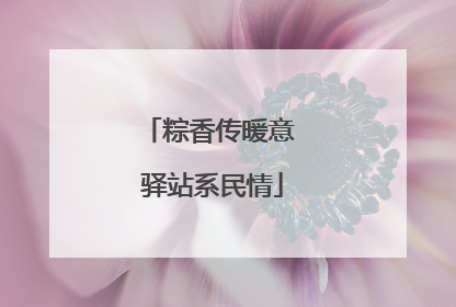 粽香传暖意 驿站系民情