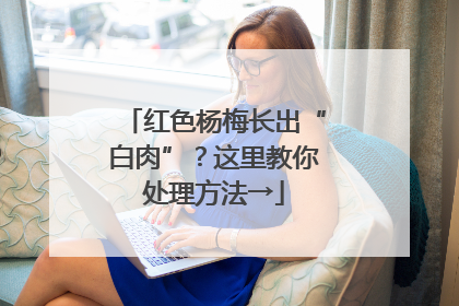 红色杨梅长出“白肉”？这里教你处理方法→
