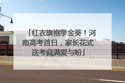 红衣旗袍擎金葵！河南高考首日，家长花式送考藏满爱与盼