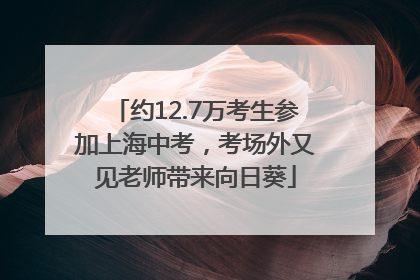 约12.7万考生参加上海中考，考场外又见老师带来向日葵