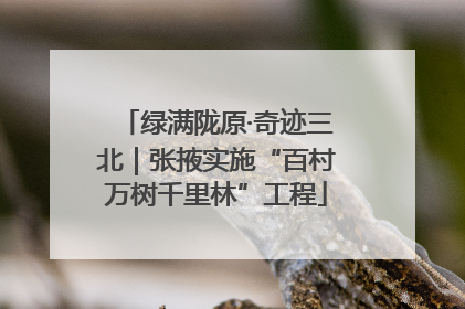 绿满陇原·奇迹三北｜张掖实施“百村万树千里林”工程