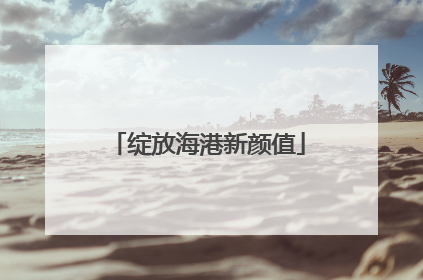 绽放海港新颜值