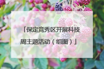 保定竞秀区开展科技周主题活动（组图）