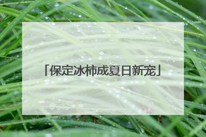 保定冰柿成夏日新宠