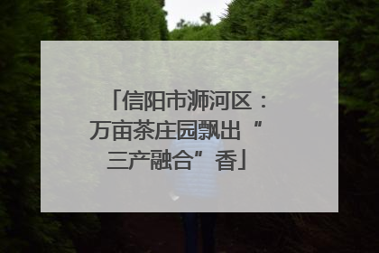 信阳市浉河区：万亩茶庄园飘出“三产融合”香