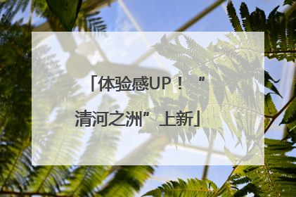 体验感UP！“清河之洲”上新