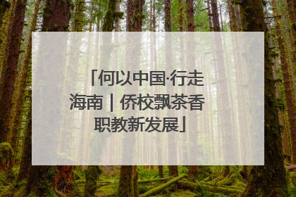 何以中国·行走海南｜侨校飘茶香 职教新发展