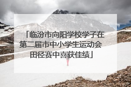 临汾市向阳学校学子在第二届市中小学生运动会田径赛中喜获佳绩