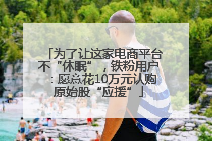 为了让这家电商平台不“休眠”，铁粉用户：愿意花10万元认购原始股“应援”