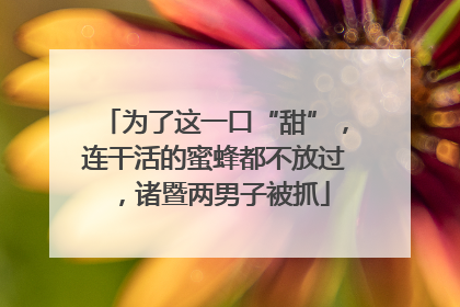 为了这一口“甜”，连干活的蜜蜂都不放过，诸暨两男子被抓