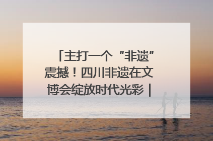 主打一个“非遗”震撼！四川非遗在文博会绽放时代光彩｜文博向“新”