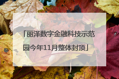 丽泽数字金融科技示范园今年11月整体封顶
