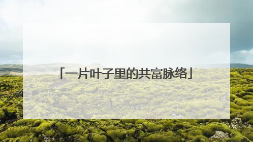 一片叶子里的共富脉络