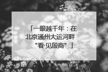 一眼越千年：在北京通州大运河畔“看·见殷商”