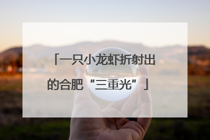 一只小龙虾折射出的合肥“三重光”