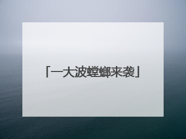 一大波螳螂来袭