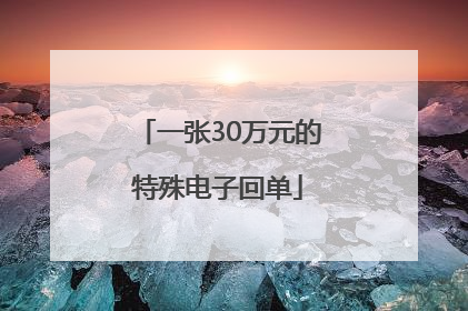 一张30万元的特殊电子回单
