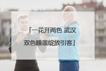 一花开两色 武汉双色睡莲绽放引客