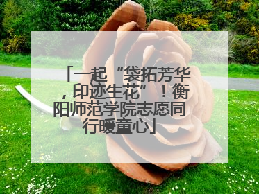 一起“袋拓芳华，印迹生花”！衡阳师范学院志愿同行暖童心