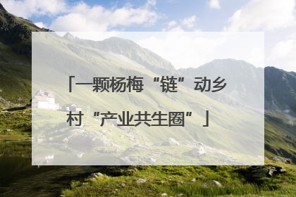 一颗杨梅“链”动乡村“产业共生圈”