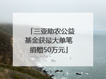 三亚助农公益基金获最大单笔捐赠50万元
