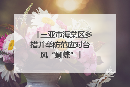 三亚市海棠区多措并举防范应对台风“蝴蝶”