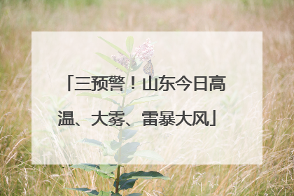 三预警！山东今日高温、大雾、雷暴大风
