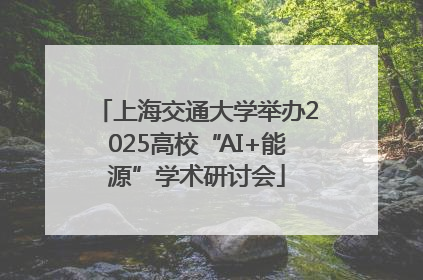 上海交通大学举办2025高校“AI+能源”学术研讨会