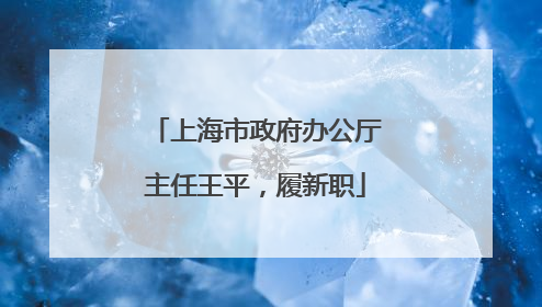 上海市政府办公厅主任王平，履新职