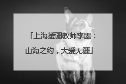 上海援疆教师李墨：山海之约，大爱无疆