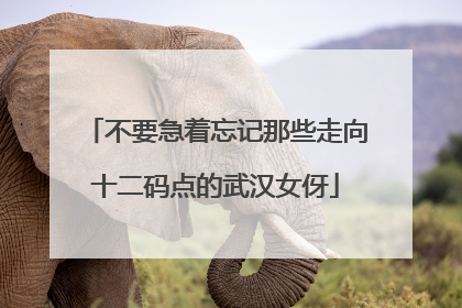 不要急着忘记那些走向十二码点的武汉女伢