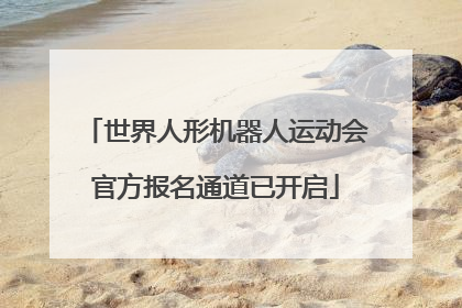 世界人形机器人运动会官方报名通道已开启