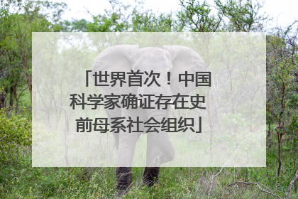 世界首次！中国科学家确证存在史前母系社会组织