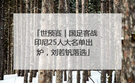 世预赛｜国足客战印尼25人大名单出炉，刘若钒落选