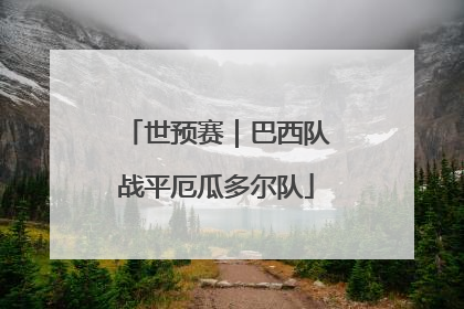 世预赛｜巴西队战平厄瓜多尔队