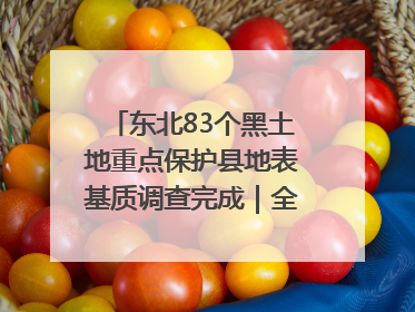 东北83个黑土地重点保护县地表基质调查完成｜全国“土地日”
