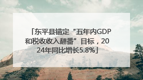东平县锚定“五年内GDP和税收收入翻番”目标，2024年同比增长5.8%