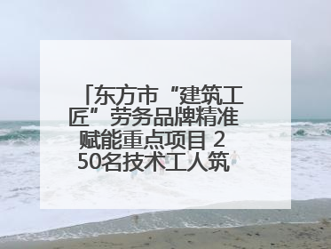 东方市“建筑工匠”劳务品牌精准赋能重点项目 250名技术工人筑牢建设基石