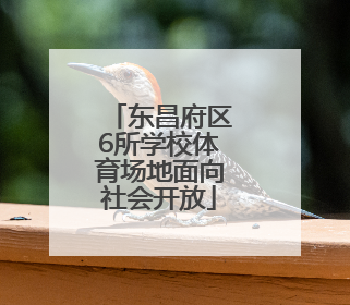 东昌府区6所学校体育场地面向社会开放